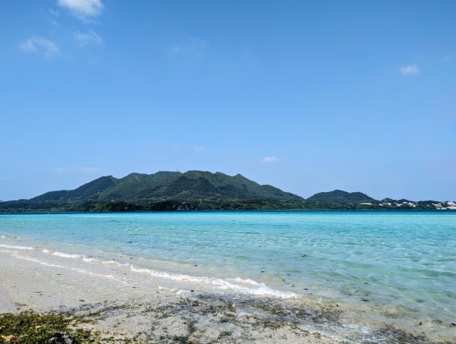 石垣島のホエールウォッチング事情｜見れない理由と沖縄本島・慶良間諸島のおすすめツアー